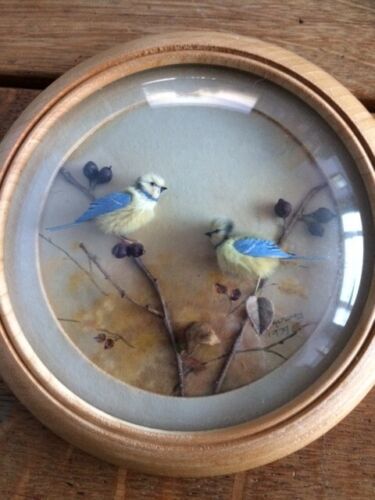 Bluetits (Version 5) (5-inch)